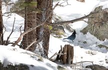 Discover Rocky Mountain National Park