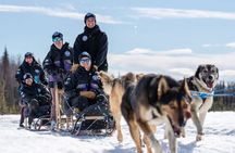 Sled Dog Ride and Scenic Drive from Anchorage