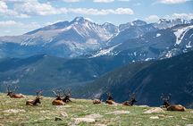 Rocky Mountain National Park - Private Sightseeing Tour