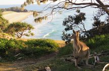North Stradbroke Island Private Cultural Tour from Brisbane