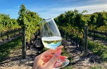 A Delightful Afternoon Wine Tour: 4 Wineries & Charcuterie
