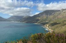 From CapeTown:TableMountain,Penguins &Wine Testing in Constantia 