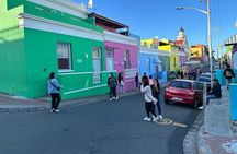 From CapeTown:TableMountain,Penguins &Wine Testing in Constantia 