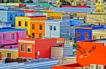 From CapeTown:TableMountain,Penguins &Wine Testing in Constantia 