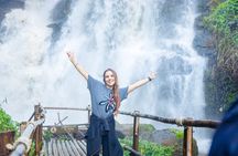 Chiang Mai ATV Tour, Doi Inthanon Trekking, and Elephant Watching