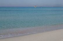 Formentera Tour from Ibiza with Transfer and Beaches