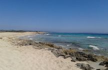 Formentera Tour from Ibiza with Transfer and Beaches