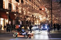 Official Street Go Kart Tour Akihabara 2nd 