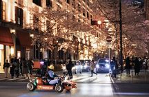 Official Street Go-Kart Tour - Akihabara