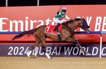 Dubai Horse Racing World Cup 2025 At Meydan