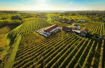 Guided Tour and wine tasting 5 wines to discover the Conegliano Valdobbiadene
