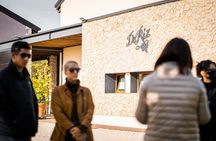 Guided tour and tasting 5 wines in the hills of Prosecco