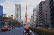 Flagship 2-Hours Official Street Go-Kart Tour - Tokyo Bay Shop