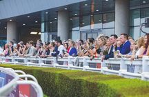 Dubai Horse Racing World Cup 2025 At Meydan