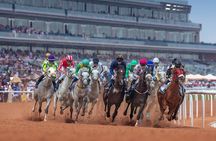 Dubai Horse Racing World Cup 2025 At Meydan