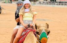 Desert Safari Small Group Tour