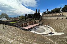 Pompeii & Mount Vesuvius Tour with Guided Visit, Tickets & Lunch