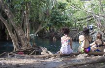 Guided full-day Materuni Waterfall, Coffee-Chemka Hotsprings Tour