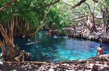 Guided full-day Materuni Waterfall, Coffee-Chemka Hotsprings Tour