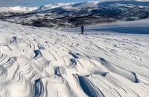 Tromso: Reindeer Feeding and Snowshoeing Tour with Lunch