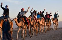 Marrakech: dinner in Agafay desert with a fire show & camel ride