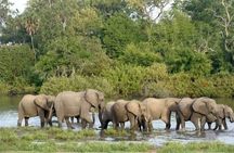 Luxury Arusha Safari: Giraffes, Lakes, canoeing & Mt. Meru Views