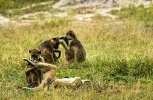 Luxury Arusha Safari: Giraffes, Lakes, canoeing & Mt. Meru Views