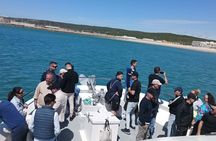 Cetacean Watching Tour