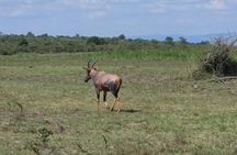 2 Day Akagera National Park with Boat Ride on Lake Lhema