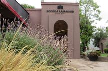 2 Wineries and 1 Distillery Full Day Tour with Lunch in Mendoza
