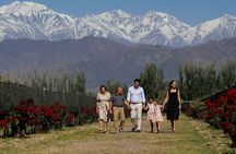 2 Wineries and 1 Distillery Full Day Tour with Lunch in Mendoza