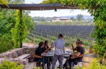 2 Wineries and 1 Distillery Full Day Tour with Lunch in Mendoza