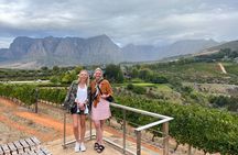 Private/Personalized Full Day Wine Tasting Tour Cape Winelands 