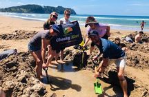 Cathedral Cove, Hot Water Beach & Coromandel Small-Group tour