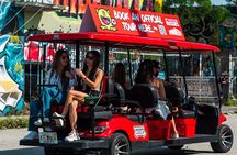 Wynwood Walls Admission and Neighborhood Buggy Experience