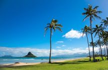 North Shore Snorkeling Tour (Dole & Temple)