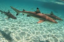 Exploration, Taha'a Lagoon Tour by Private Boat