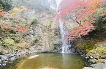 Osaka 8 Hours Tour Explore City and Minoh Falls