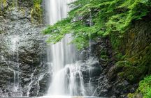Osaka 8 Hours Tour Explore City and Minoh Falls