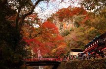 Osaka 8 Hours Tour Explore City and Minoh Falls