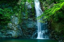 Osaka 8 Hours Tour Explore City and Minoh Falls