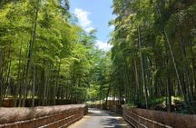 Hidden Bamboo gem and Japanese foods in Izakaya Private Tour