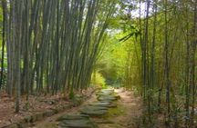 Hidden Bamboo gem and Japanese foods in Izakaya Private Tour
