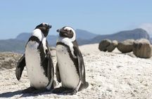 7 Days Private Durban to Cape Town: Garden Route & Drakensberg
