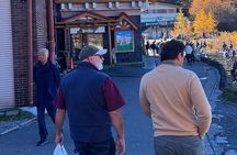 From Tokyo: Private Day Trip to Mount Fuji & Fuji Five lakes