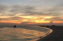 Day Trip Zanzibar: Snorkeling Dolphin Aquarium Turtles and Sunset