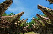 Explore Toraja Culture Heritage in 3 Days from Makassar