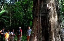 Explore Toraja Culture Heritage in 3 Days from Makassar