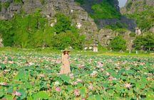 Full-Day Hoa Lu Tam Coc Or Trang An Tour
