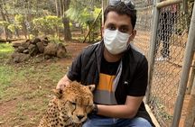 Nairobi National Park Sheldrick & Giraffe Centre Day Trip